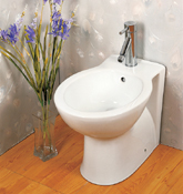 Back to Wall Bidet