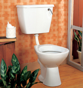 Clifton Low Level WC